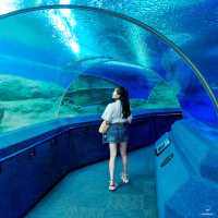 ผจญภัยโลกใต้น้ำ “Under Water World” พัทยา!