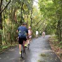 ขี่จักรยานชมธรรมชาติที่บางกระเจ้ากัน
