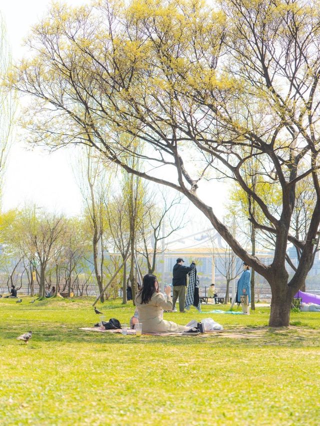 서울 피크닉 명소, 망원한강공원에서 소풍 즐겨요!
