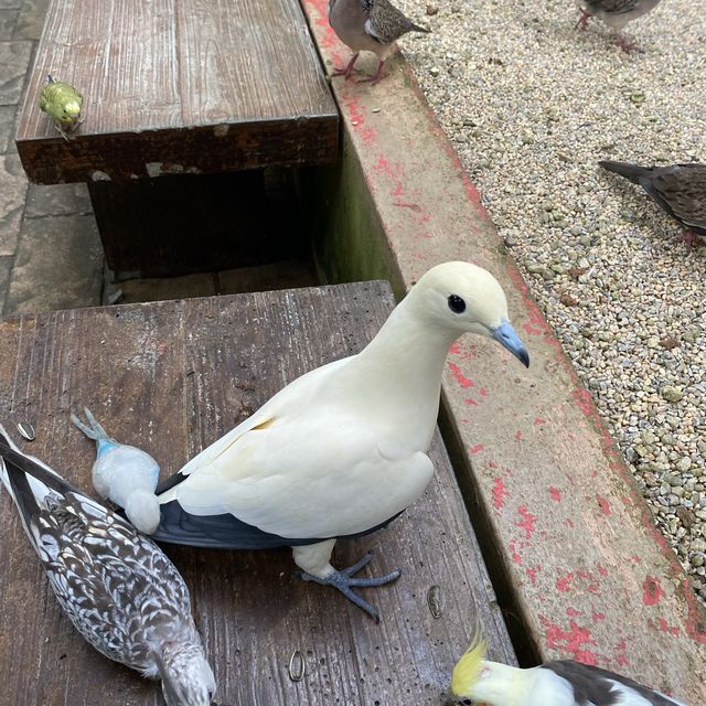 Highly Recommend Wildlife Park for Children!