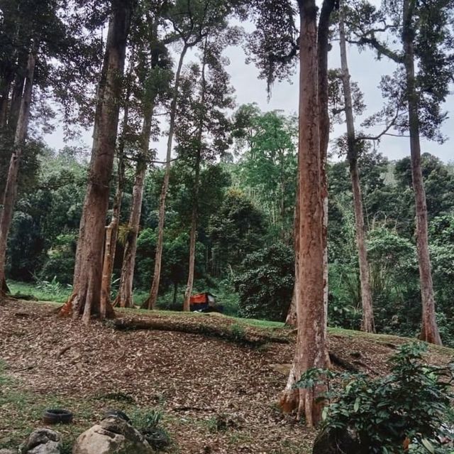 Sungai Sendat - Genting Highland, Malaysia