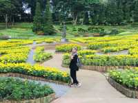 สวนแม่ฟ้าหลวง ดอยตุง เชียงราย