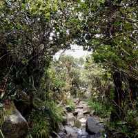 Mount Kinabalu - Kundasang, BKI