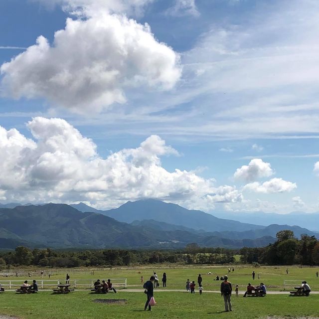 日本🇯🇵家庭好去處❤️清里高原牧場😌清泉寮