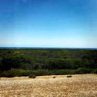 The Outback of Perth, Australia
