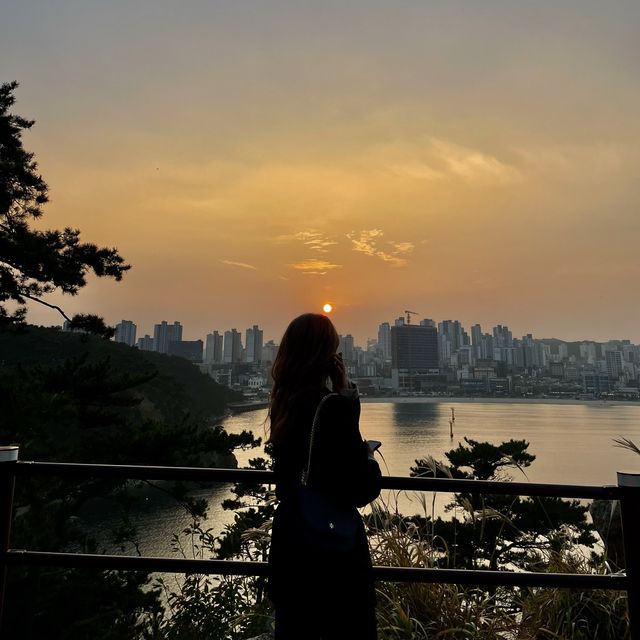 울산의 명소 “울산대왕암공원”