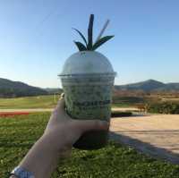 SinghaPark  .. ChiangRai 🌱🌿