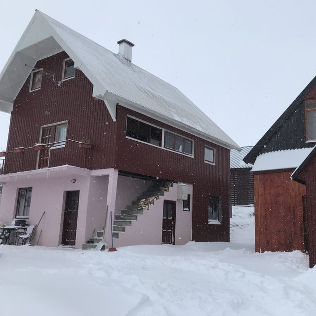巴爾幹半島蒙特內哥羅 大雪紛飛中的意外訪客
