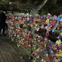 Namsan at Night
