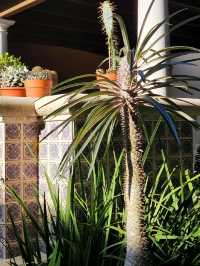 Bok Tower Gardens, Florida's hidden paradise