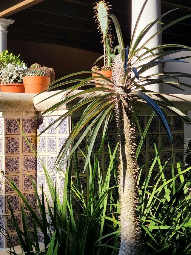 Bok Tower Gardens, Florida's hidden paradise Bok Tower Gardens, Florida's hidden paradise