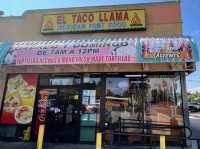The Great Taco Llama!