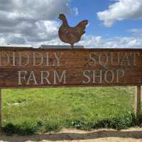 Diddly squat farm shop
