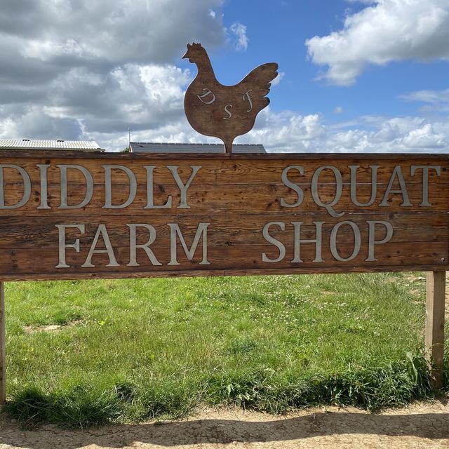 Diddly squat farm shop
