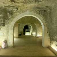 the serapeum of saqqara