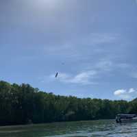 Kilim geoforest park sea eagles 