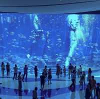 Best entertainment resort destination