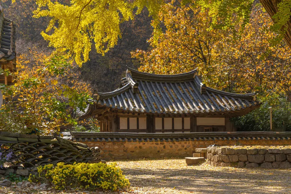 경주 단풍 명소 '운곡서원'