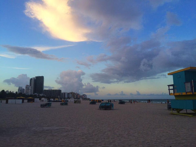 Miami Beach, Florida🌴🏝️🌺🌸
