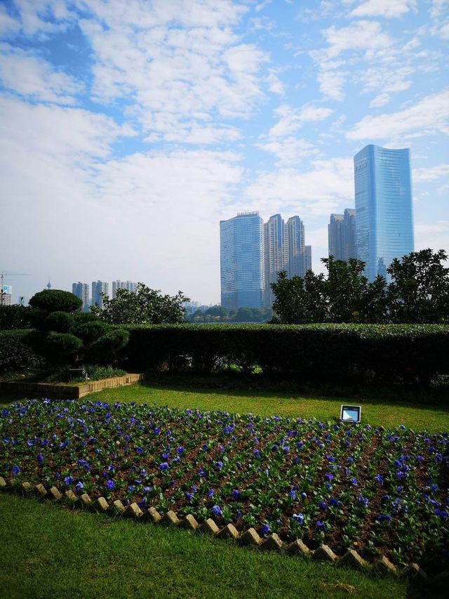 เกาะส้ม เมืองฉางซา