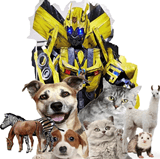 Pet Adoption Extravaganza 2024 | Bell County Expo Center