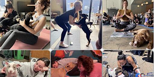 Fall Pints,Poses and Puppies- Ubergeek | übergeek Brewing Company