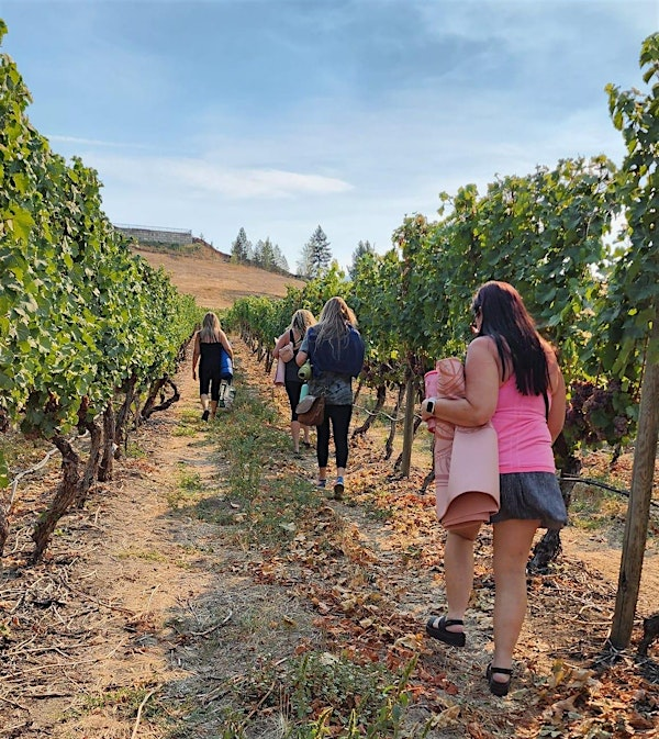Vines, Views & Vinyasa At The View Winery! | The View Winery & Vineyard