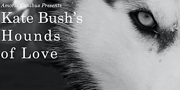 Amoris Canibus Presents: Kate Bush's Hounds Of Love | Ironworks Studios