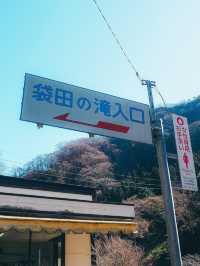 袋田の滝
