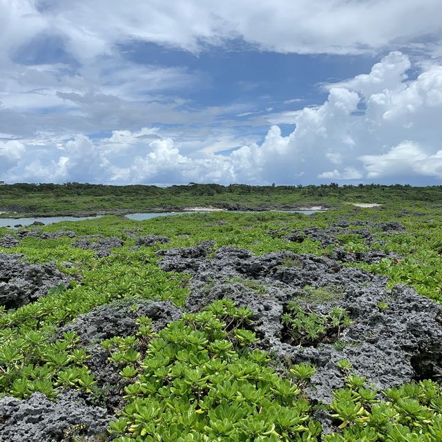 宮古島　通り池