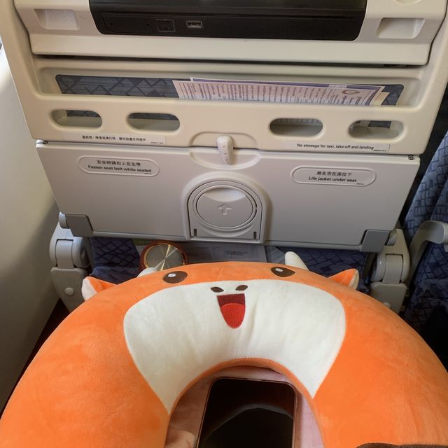 要飛了✈️