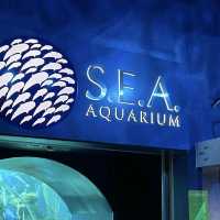 S.E.A. Aquarium