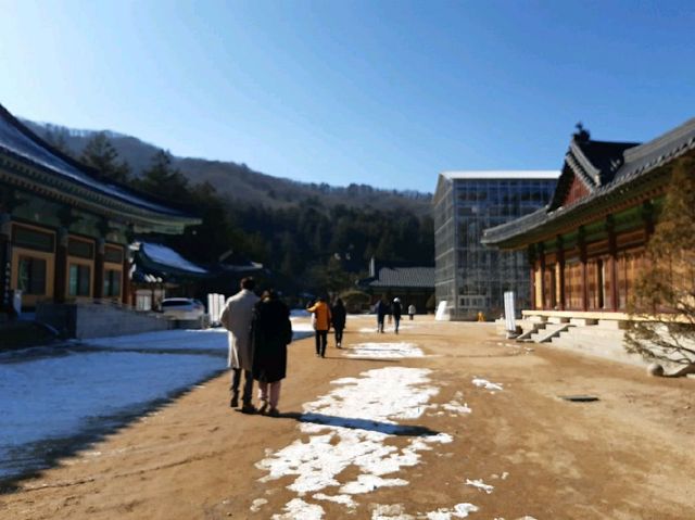 [강원도, 평창] 눈 가등한 월정사 