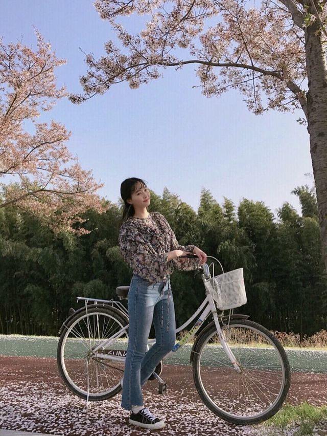 벚꽃 나무 아래 자전거 타기 좋은 "태화강 국가정원"
