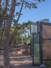 🏝태안 꽃지해수욕장 오션뷰 리조트 아일랜드 리솜