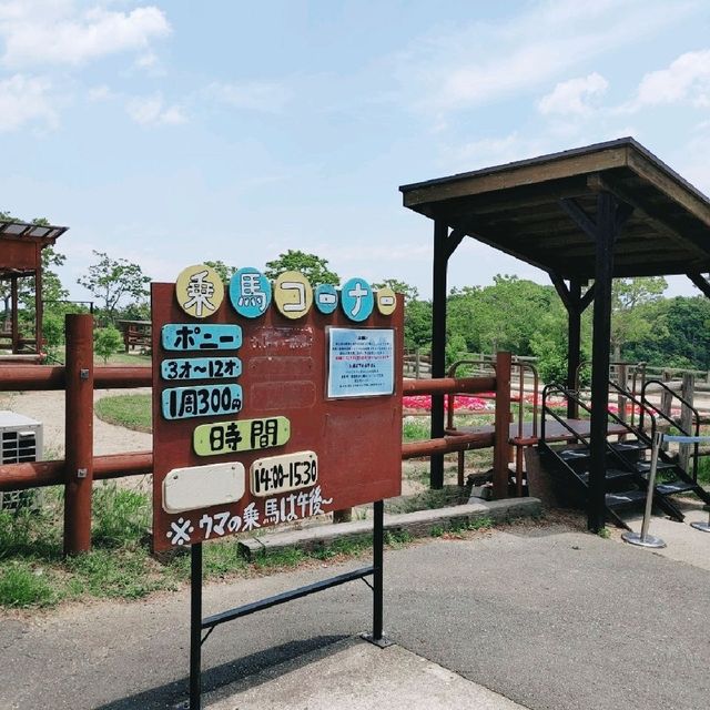 乗馬・給餌体験ができる！姫路セントラルパーク