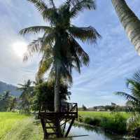 Memorable Birthday Trip to Alor Setar