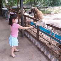 동물을 가까이서 보며 먹이주기 체험가능 한 Bonanza Exotic Zoo