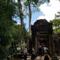 【カンボジア・シェムリアップ】巨木に侵食される世界遺産タ・プローム