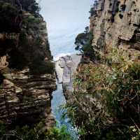 The Tasmania Sea Cliffs Lookout 