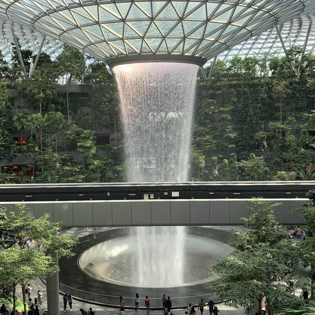 In love with Singapore Jewel Airport❤