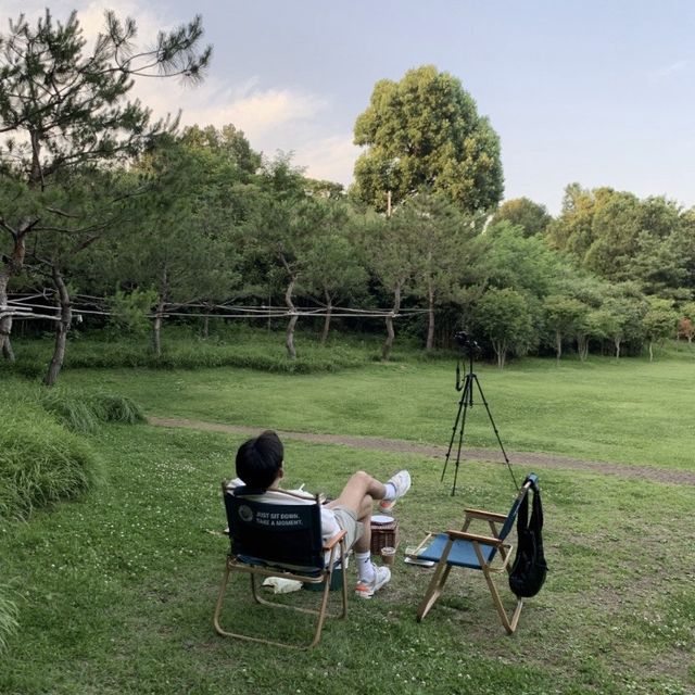 서울 용산구 공원 피크닉_용산가족공원