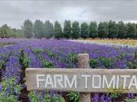 Farm Tomita