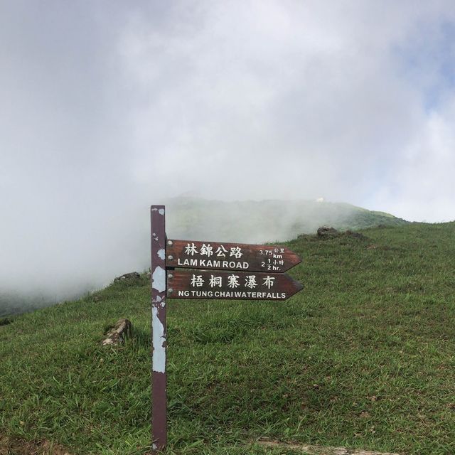 即興睇日出 🌅 牛🐃 出沒注意 ‼️