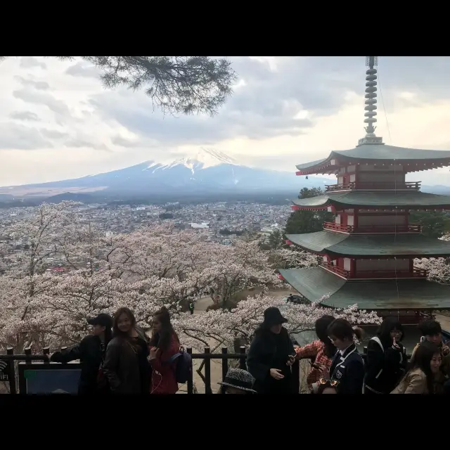 พามาชิลชมวิวสวยที่… เจดีย์แดง Chureito Pagoda กัน