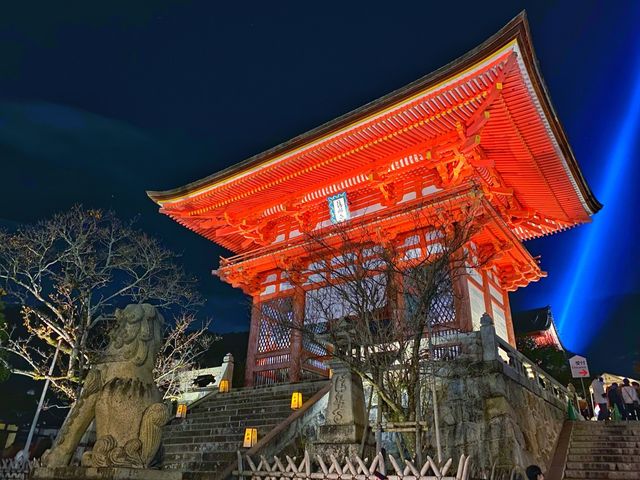 『清水寺』京都の紅葉『夜間特別拝観』