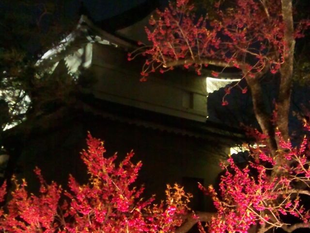 🏯京都 京都の城！二条城をご紹介