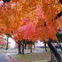 岩手県！盛岡城跡公園の紅葉