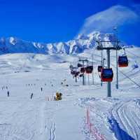 Adventure of Skiing 🎿 
