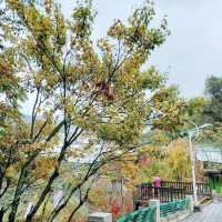 有歷史意義的梨山賓館